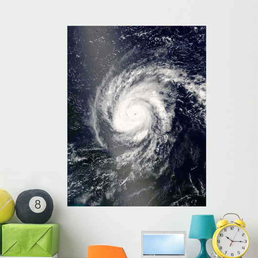 Hurricane Frances Wall Decal Design 2
