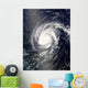 Hurricane Frances Wall Decal Design 2
