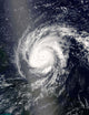 Hurricane Frances Wall Decal Design 2