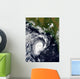 Tropical Cyclone Wall Decal