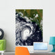 Tropical Cyclone Wall Decal