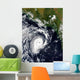 Tropical Cyclone Wall Decal