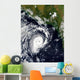 Tropical Cyclone Wall Decal
