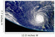 Hurricane Frances Wall Decal Design 3