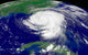 Hurricane Frances Wall Decal Design 4