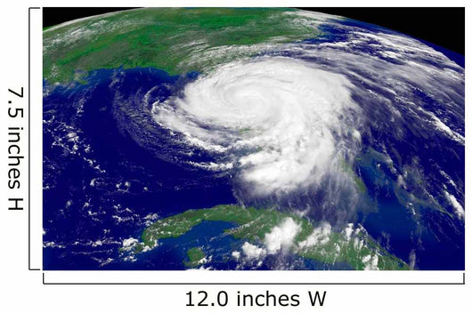 Hurricane Frances Wall Decal Design 4