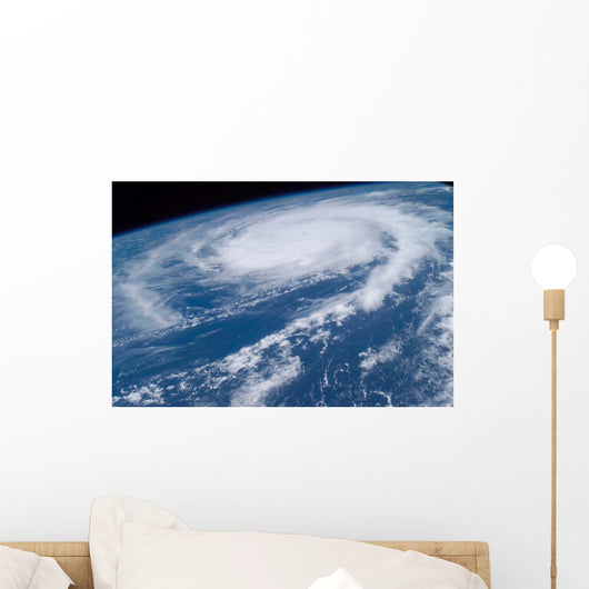 Hurricane Frances Wall Decal Design 5