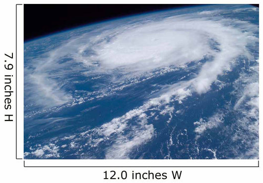 Hurricane Frances Wall Decal Design 5