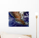 Mexico Wall Decal