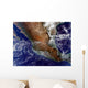 Mexico Wall Decal