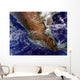 Mexico Wall Decal