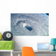 Close-up Eye Hurricane Isabel Wall Decal Design 2