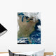 Satellite Eastern United States Wall Decal Design 2
