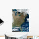 Satellite Eastern United States Wall Decal Design 2