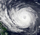 Typhoon Phanfone Wall Decal Design 2