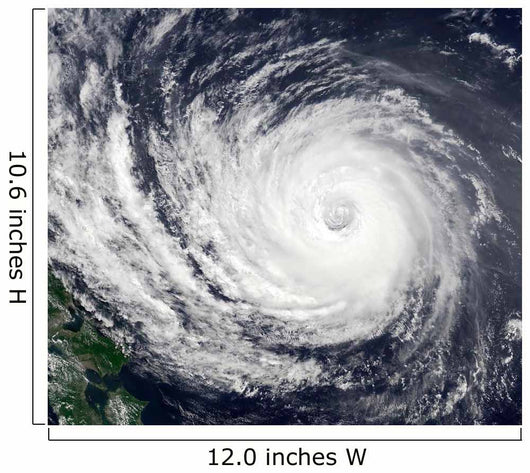 Typhoon Phanfone Wall Decal Design 2