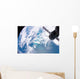 South Atlantic Plankton Bloom Wall Decal