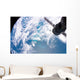 South Atlantic Plankton Bloom Wall Decal