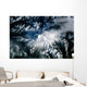 Mount Rainier Washington Wall Decal