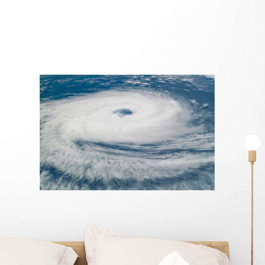 Hurricane Catarina Wall Decal
