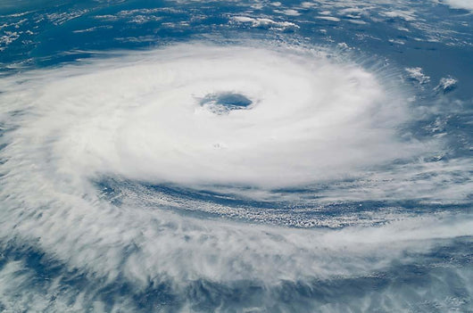 Hurricane Catarina Wall Decal