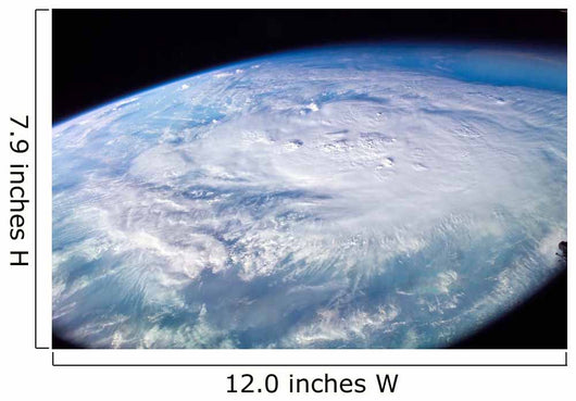 Hurricane Charley Wall Decal Design 1