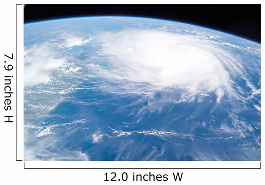 Hurricane Charley Wall Decal Design 2