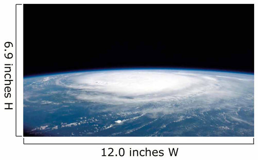 Hurricane Frances Wall Decal Design 9