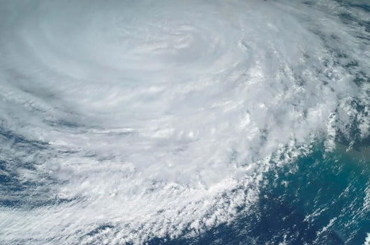 Hurricane Jeanne Wall Decal Design 2