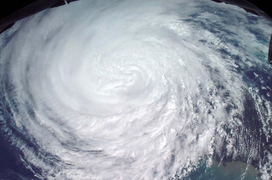 Hurricane Jeanne Wall Decal Design 3