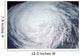 Hurricane Jeanne Wall Decal Design 3