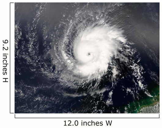 Hurricane Ivan Wall Decal Design 4