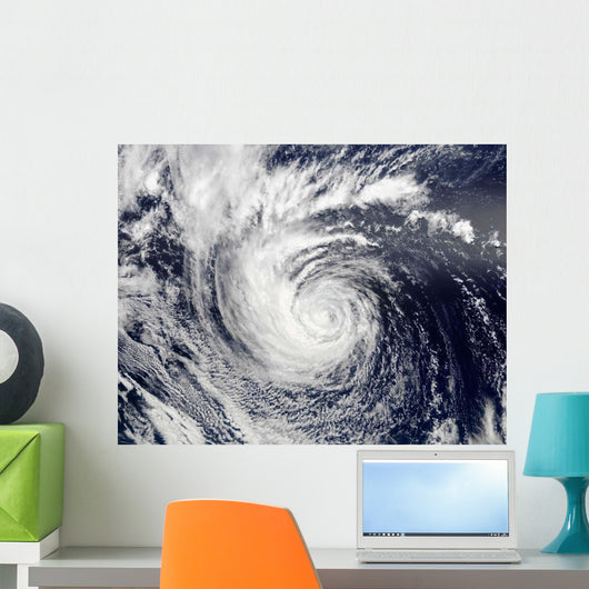 Hurricane Ele Wall Decal