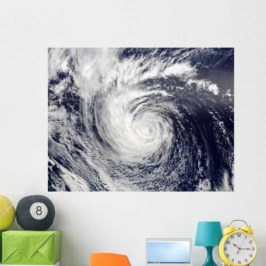 Hurricane Ele Wall Decal