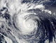 Hurricane Ele Wall Decal