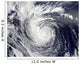 Hurricane Ele Wall Decal