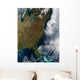Satellite Eastern United States Wall Decal Design 3