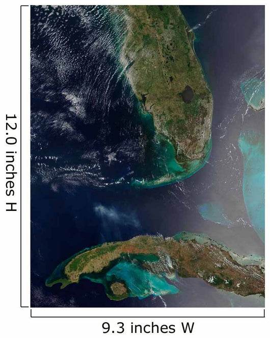 Florida and Cuba Wall Decal