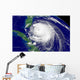 Hurricane Frances Wall Decal Design 10