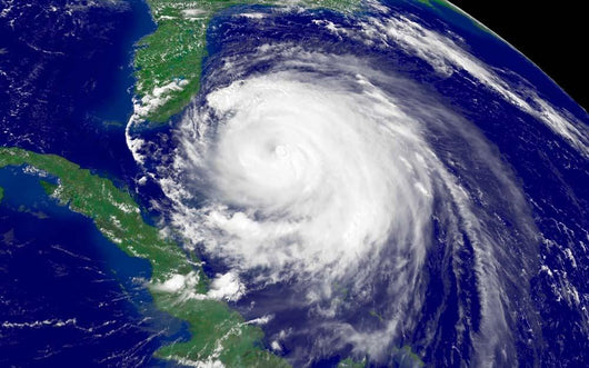 Hurricane Frances Wall Decal Design 10