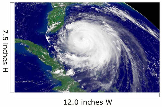 Hurricane Frances Wall Decal Design 10