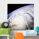 Typhoon Saomai Wall Decal