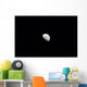 Waning Moon Wall Decal