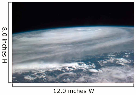 Typhoon Violet Western Pacific Wall Decal