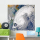 Satellite Image Typhoon Wall Decal