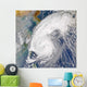Satellite Image Typhoon Wall Decal