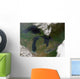 Satellite Great Lakes Wall Decal Design 4