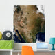 Central and Western United Wall Decal