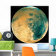 Mars Wall Decal Design 2