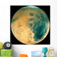 Mars Wall Decal Design 2